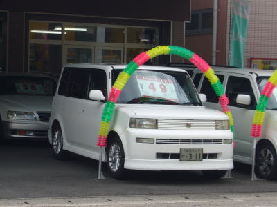 image-12bb.jpg